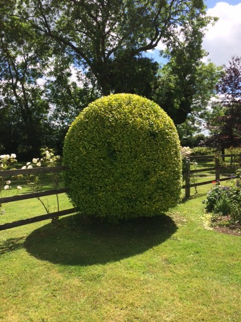 Gardening Business in Andover